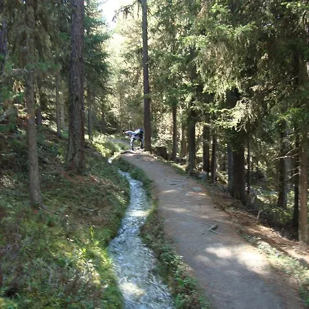Chalet Grachbiel Apartment